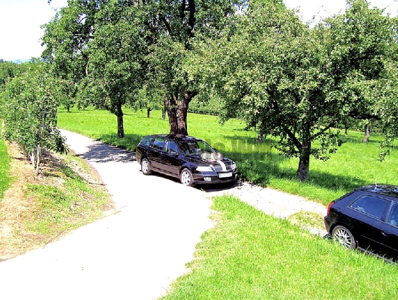 100_0020.jpg