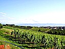 100_0067.jpg