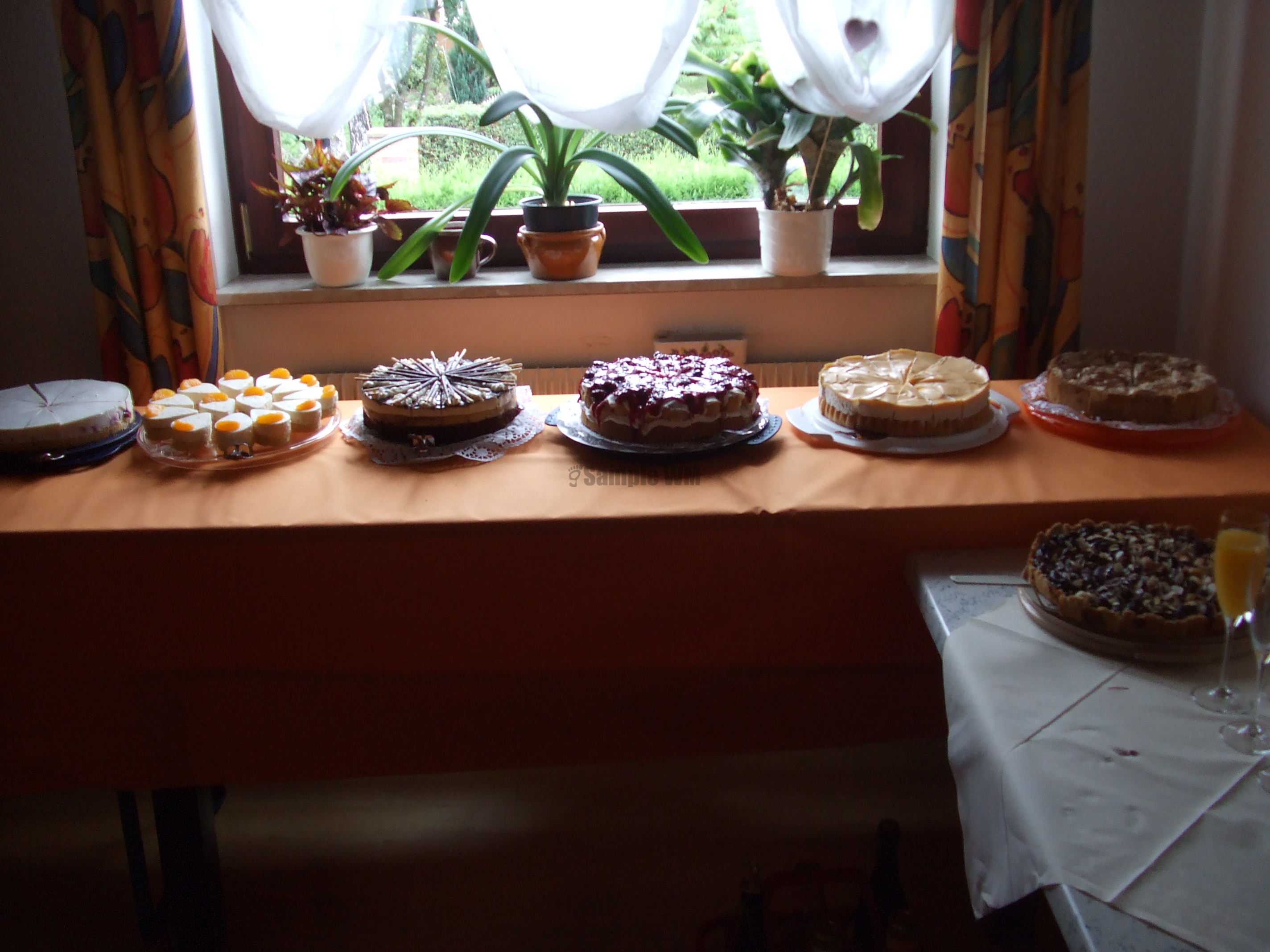 DSCF1651.JPG