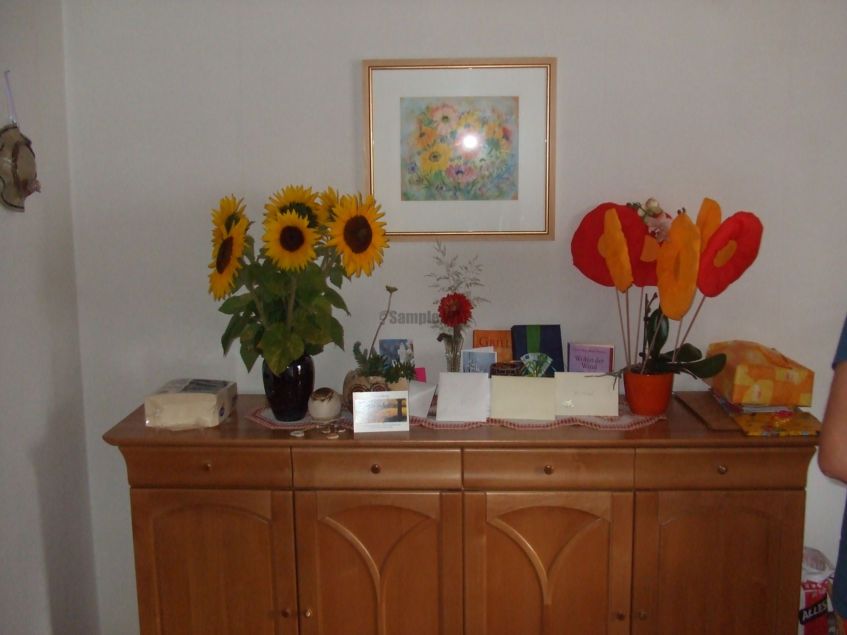 DSCF1654.JPG