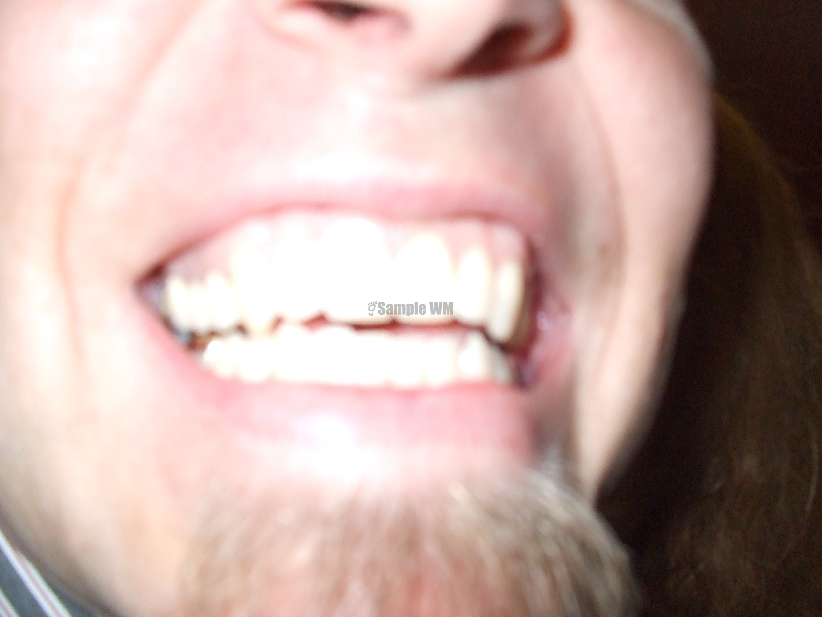 DSCF2687.JPG