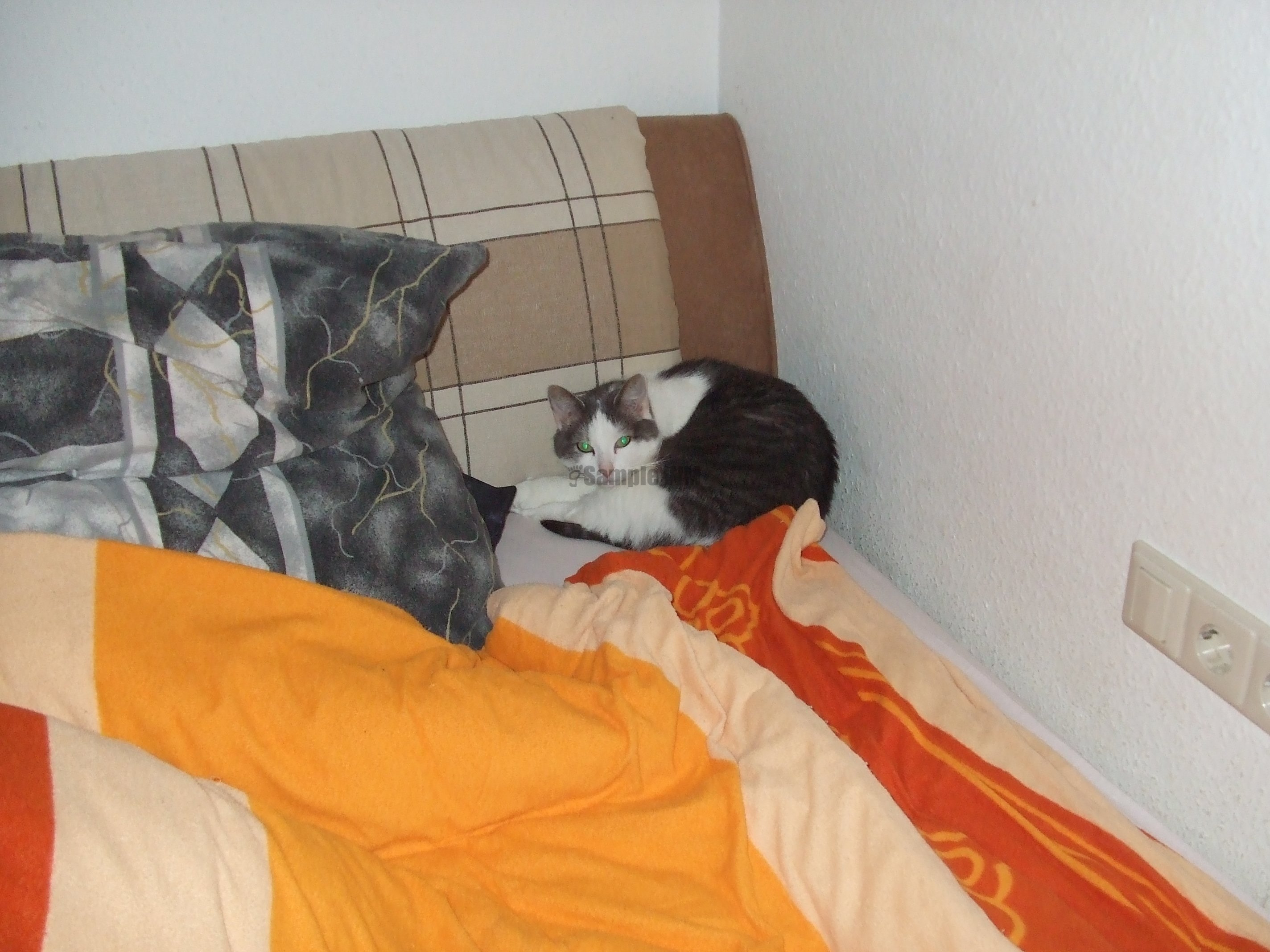 DSCF2748.JPG